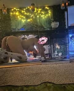 (619)512-8429 is ethnicity_asianandoffers nuru massages, asian massage, bodyrubs in San Diego and available for service_location_incallon rubrankings Hi I’m Miyu, I’m based in Clairemont (92117) and Here’s my bio: https://tryst.link/massage/alyson-miyu

Please fill out the following introduction text to get started. I will need the following information to move forward:

Hi Miyu, my name is: _____
Service I’m interested:  ___ and for how long?___
Preferred date/ exact time: _____
Provider reference: I’ve seen ____. (Please send a link to HER ad with her name & number) DON’T send me my link.
If you do not have references, alternative screening may be considered based on our initial communication.

Offerings: I have 3 rooms, all to myself. Please choose the service you desire so I can prepare accordingly. Each room is unique. Try them all. You may discover your new favorite is… Miyu 🎊

🧖‍♂️ FBSM — Standard Full Body Sensual Massage (Upstairs Spa Room) This includes sensual touch, professional-grade massage, and hand relief. 

15m QV — 100 (hj only no body massage)
30 min —160 (half) 
60 min – 200   (Standard)
90 min —300 (extended body work) 
2 hours — 400 (won’t miss a muscle)

Foot Fetish welcome! Come worship my pretty little feet… MmMmm so yummy! 🦶🍭   60 min – 200

S-TEXTING: This is Limited chat availability 💬 30 minute private texting sessions for $100.  If you’re feeling a little lonely or just want someone fun to talk to I’m here for you. No Reference Required please have Amazon E gift card using sharable link ready.

🥛⛓ Miyu's massage table can switch to Milking Table or Bondage. Please let me know your preferred setup before your appointment so I can prepare everything in advance 💡

Choose your play style:

● MSOG (ejaculate as many times as your body allows)
● Edging (enable the orgasm to happen after several cycles of teasing until the very end)

🥛 15m QV milk —160 💦💨
🥛 30 min milking — 200 😙
🥛 1 Hour milking challenge — 300 🤪
🥛 90 minute milking challenge — 400 😶‍🌫️
🥛 2 Hours milking challenge — 500 🫥

Full disclosure: You can tap out at anytime but there are no refund in the milking challenge please select your time wisely. And yes I will be nice.

🍨 Bedroom Experience — I invite you to my personal space on my King Size Bed. The best kind of Physical Therapy is with me. Cuddle session is included.  I love snuggling up on you like a cat. *meow* 🐱💕

🛌 30 min 300 
🛌 1 Hour 400 
🛏️ 90 min 500 
🥛/🛌 2 hours of unrushed session with me 600 😻💕

Lap Dance, Strap on,  Toy Play is $100 extra and can be added to any of my session. Douche & Shower available 🚿

💧Nuru (Premium Japanese erotic massage with seakelp gel. This includes body scrub service and shower in my famous Mirror Room on a heated inflatable mattress.)  Try the best nuru of your life from a Japanese CMT specialist. For more details, go to:  https://tryst.link/massage/alyson-miyu  —  1 Hour 500

Hope you're ready for me 💋

- Miyu

Alternative Location in Hillcrest for professional spa setting. This location is by appointment only. Clairmont locat