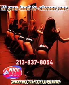 (213)837-8054 is ethnicity_asianandoffers nuru massages, asian massage, bodyrubs in Washington and available for service_location_incallon rubrankings 🌺🌿We can best be described as the  All-American Girl Next Door. We have that Fitness Tasty Body! 36D swelling huge boobs!  Round fat butt!  Soft smooth skin! Let us spoil you with sweet nectar! The alluring screaming is the most beautiful melody! 🌺🌿

About Baby Girls information:
🔞🧡-No.1 Linda, 24yrs, Thai
🔞🧡-No.2 Lulu, 25yrs, Korean
🔞🧡-No.3 Amy, 22yrs, Japanese
🔞🧡-No.4 Monica, 23yrs, Chinese 
🔞🧡-No.5 Sophia, 24yrs, Korean
🔞🧡-No.6 Susan, 25yrs, Chinese

All Baby Girls can do :
💃# I like the feeling of having a hard penis in my mouth and eat nuts. It's so fulfilling.
💃# Free your hands and please just lie down, close your eyes, you won't want my magical hands to stop 
💃# Tip of tongue knobbing and dipping, make you tremble with my rhythm.
💃# Me sitting at your huge dick, moving up and down, sucking this thick meat stick with my tight vigina until we crackling.

TEL:213-837-8054