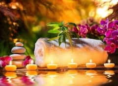 (702)542-3903 is ethnicity_Blackandoffers nuru massages, asian massage, bodyrubs in Augusta and available for service_location_bothon rubrankings 
Sweet Marina
I offer genuine “Sensual & Therapeutic Massage Therapy” in a clean and
discrete environment. My sessions are non-rushed, tailored to your needs and
include body slides and prostate care upon request at no extra cost. I provide
hot organic oil, hot towels, bottled water, private shower and private parking
for your convenience.
Please text me to set up your appointment. I look forward to seeing you and
providing you “THE BEST HEALTHY CARE YOUR BODY NEEDS”
✅ Therapeutic Massage
✅ Sensual Massage
✅ Body Slides
✅ Prostate (request during booking)
✅ Ultimate Glutes
✅ Deep Tissue Therapeutic Gun
✅ Hot Stones
✅ Hot Organic Oil
✅ Hot Towels
✅ Private Shower
✅ Private Parking