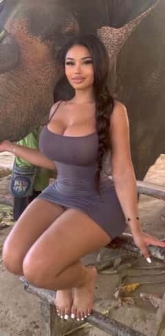 (657)567-3586 is ethnicity_otherandoffers nuru massages, asian massage, bodyrubs in Orange and available for service_location_bothon rubrankings Let me introduce myself❤️❤️
My name is Gypsy, and I am new to the nuru massage world.  I am gifted in expressing myself through touch, and healing my clients in numerous areas.  My technique focuses solely on  pleasuring and titillating my clients through erogenous zones and shakra technique.  My body rubs are more than just pleasure, they truly are theraputic.  I have learned by pleasuring and emphasizing attention on the solar plexus and sexual erogenous zones of an individual, numerous other arenas of the physical body begin to heal, improve, and, even transform the entire physical and spiritual body.  
Available for sensuous nuru and erotic massage services.  My sensuous touch will redistribute your pleasure center.  Come book a session with me, and experience a spa day tailor made for a king and his needs.  I offer an experience unlike any other, which includes:
•Body treatments available (sugar scrub, moisture wrap, and detox mask)
•Aromatherapy addons: perfect for treating any additional body issues (allergies, arthritis, pain, mood boost)
•Erotic Menu available with custom made pleasure plan tailor made and customized to satisfy your individual proclivities and desires.
•Role Play scenarios always welcomed
• Costume and lingerie requests available 
•Double Sessions with my bestie available.
•GFE - a unique girlfriend experience that goes above and beyond the massage session.  (Ask me for details)

 Cleanliness, satisfaction, and Release always center stage during my sessions.    Let me pamper you, and give me the experience I need in the field of body massage!  
Text/Call for apointments:  
6575673586
Accepting appointments  daily
Cant wait to meet you!   
Kisses,
Gypsy