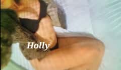 (347)746-3130 is ethnicity_Caucasianandoffers nuru massages, asian massage, bodyrubs in Philadelphia and available for service_location_bothon rubrankings    Hello, I am very pleased to meet you! My name is Holly. I am curvy, 5"2, 112 lbs, have bobbed brunette hair with 32C, 26, 34 measurements. I have smooth, creamy skin, no tattoos and no piercings. You will be very pleased with how friendly, kind and pleasant I am.    I give an authentic massage and provide a serene, cool and lovely atmosphere set in a quiet, beautiful neighborhood. You will be well accomodated with everything you need to have great comfort and be transformed by having your stress taken away. Your comfort and well being is of the utmost importance to me.  Please, calls only at this time, texts will not be answered. My apologies for any inconvenience this may pose. I will announce when texts can and will be possible. Thank you for your consideration and understanding!   I look forward to seeing you!                             XOXOXO                                     Holly   