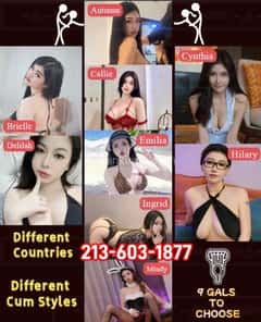 (213)603-1877 is ethnicity_asianandoffers nuru massages, asian massage, bodyrubs in Dallas and available for service_location_incallon rubrankings 🍌🍌🍌Welcome to gals heaven🍌🍌🍌
🎀Here are nine girls from different nationalities representing different personalities.🎀Choose the one you like.🎀
👅Autumn,Korean,21yrs&👅Mindy,Japanese,22yrs
👅Callie,Taiwanese,21yrs&👅Cynthia,Japanese,23yrs
👅Delilah,Korean,22yrs&👅Emilia,Taiwanese,22yrs
👅Hilary,Taiwanese,24yrs&👅Ingrid,Korean,21yrs
👅Brielle,Thailand,24yrs

✅✅✅We can do:
🔥BBBJ-Give you some sloppy toppy!Flexible snake-like tongue inside your wrapper and screws your glans, so overwhemling~
🔥Nuru massage-Sensual massage starts erotic time, soft boobs soothe ur skin, chest to legs. The perky and naughty tits draw a loving curve on your back.
🔥CIM-If you don't want to cum inside me, then pull out your dick  and thrust this explosive monster to my mouth and explode it.
🔥HJ-Dexterous hands slip towards your junior and hold it like a butterfly. Give you an intense hand job until you said it's enough.
🔥COF-Bebe, if you are too excited to hold back your milkshake to my mouth, I wouldn't mind a face washing with it.
🔥COB-My body is your medals wall, feel free to squirt all your milk to me.
🔥69-My tongue is so flexible that it gives you heavenly pleasure when I kiss you and lick your the most sensitive part of your dick, I wish you can give me same pleasure at the same time.
🔥Lick the pussy-Climb up your mouth and now taste my smooth kitty.Pussy juice all over your face. 

Let's go stranght!You must be feel  Intense longing fulfilled .💞
⭐️☎️⭐️213-603-1877⭐️☎️⭐️