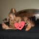 Body Rub Specialist Summyr Raine from Ohio