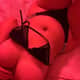I”M AVAILABLE FOR MASSAGE AND HOOKUP 