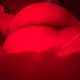 2 shooter Tooter~~ur LIL’ Latina Now VIP 💛IN CALL