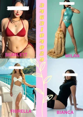(346)310-4029 is Latinoand offers nuru massages, asian massage, bodyrubs in Houston and available for incall on rubrankings 🌹 Exclusive Experience 🌹

💳 Zelle • Cash • Credit & Debit Accepted

💰 Session Rates:
• 30 Min — $70
• 45 Min — $90
• 60 Min — $120
• 90 Min — $180

⚠️ Rates are for time only. Tips are separate.

🌹 Treat yourself…

📲 Call or Text: 346-310-4029