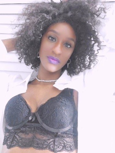 Greensboro BodyRubs Offered By (443)892-0795 | Bodyrubs (443)892-0795 is Blackand offers nuru massages, asian massage, bodyrubs in Greensboro and available for incall on rubrankings
Ebony Masseuse providing nude full body rub, hands only ending. Addtl services offered to repeat clients 😉 . All races welcome, Age 45+.
Incall to hotel this week only. Come and see me!!!
Fully nude body rub $100 /hr