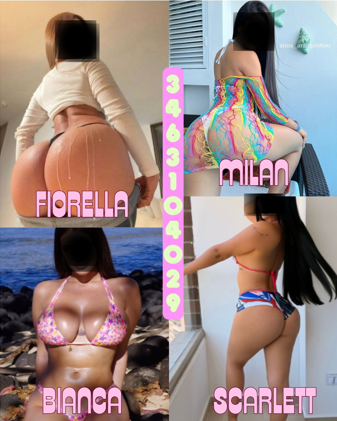 Houston BodyRubs Offered By (310)310-4029 | Bodyrubs (310)310-4029 is Latinoand offers nuru massages, asian massage, bodyrubs in Houston and available for both on rubrankings โจ Ready to unwind? Let your stress melt the moment you walk in.
โข 30 min โ $90
โข 45 min โ $110
โข 60 min โ $120
Rates are for time only โ tips are separate.
We take Cash, Zelle, Debit, and Credit.
Soft lights. Warm hands. Deep relaxation.
Your reset starts here.