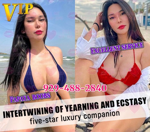 Chicago BodyRubs Offered By (929)488-2840 | Bodyrubs (929)488-2840 is asianand offers nuru massages, asian massage, bodyrubs in Chicago and available for incall on rubrankings Now you have two choices : Fuck tight pussy or cum milk on our body.Plz call us your choice: 929-488-2840
Hey swettie~I'm your cute doll Coco. I'm 26yrs. I have clean-shaven honey pot, exclusive dinner and drinks for u. Lightly bite and suck, feel the bounce~
My girl: Nancy, 25yrs. Her favorite thing is licking your big snake.Stand-on-hands-blow job,sounds exciting,right?
My firend: Lily, 24yrs. You can clap and grab her ass,screw from behind as hard as you can! Gentle to hard sex is her dream!!!
929-488-2840