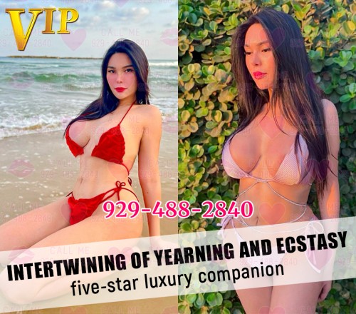 (929)488-2840 is asianand offers nuru massages, asian massage, bodyrubs in Chicago and available for incall on rubrankings Now you have two choices : Fuck tight pussy or cum milk on our body.Plz call us your choice: 929-488-2840

Hey swettie~I'm your cute doll Coco. I'm 26yrs. I have clean-shaven honey pot, exclusive dinner and drinks for u. Lightly bite and suck, feel the bounce~

My girl: Nancy, 25yrs. Her favorite thing is licking your big snake.Stand-on-hands-blow job,sounds exciting,right? 

My firend: Lily, 24yrs. You can clap and grab her ass,screw from behind as hard as you can! Gentle to hard sex is her dream!!!

929-488-2840