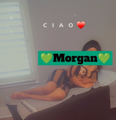 Raleigh BodyRubs Offered By (910)888-2240 | Bodyrubs (910)888-2240 is Blackand offers nuru massages, asian massage, bodyrubs in Raleigh and available for incall on rubrankings Hi, Iβm Morgan π Iβm a gentle soul offering warm, soothing healing energy sessions for respectful gentlemen. I am 27 years old.
With peaceful, nurturing care, I help you release stress and feel refreshed and balanced in a calm, private space.
I will be available from 9:30 AM until 6 PM every other Monday and Friday.
I welcome well-mannered, respectful gentlemen only. Sessions are gentle HANDS-ONLY experiences. Please keep all communication polite and professional
no vulgar language or requests for extras. Thank you for understanding π
Please text only. I do not respond to phone calls.
Please respond with your NAME, AGE, and RACE. Scheduling ahead is best π