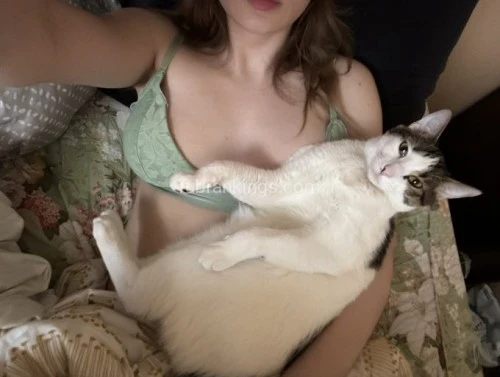 Omaha BodyRubs Offered By (646)915-5103 | Bodyrubs (646)915-5103 is Caucasianand offers nuru massages, asian massage, bodyrubs in Omaha and available for both on rubrankings I am a true Mistress in heart and I do my Job for the pleasure but with the respect for the art itself, doesn’t means I will be giving out freebies or tasks for free. So your Initial Tribute. You might be afraid of my sadistic regime, but be aware, there is also a caring and loving side of me. I can soothe the pain as well as cause it. With the wide range of toys and many fetishes to play with, I will be the one to fulfill your dreams and biggest fantasies.
I have many favorite kinks, ranging from traditional corporal punishment, foot fetish, cuckolding, leather worship, slave training, chastity & key holding, whipping, face sitting, face slapping, nipple play, fetish exploration, tease & denial, goddess worship, over/the-knee-spanking, gagging, spanking, golden showers, strapon play, bondage, total power exchange, having my slaves to please me orally, role plays, pegging, corsets, trampling, cbt, humiliation of different types. If you have something you’ve always wanted to try, I can assure you I’ve done it, or at least have done similar. I love creating new experiences for submissives, building trust and connection through kink, and most importantly—having lots of filthy, pleasurable fun!
I look forward to hear from you and explore your darkest desires together.
I AM VERY DISCREET AND I WILL RESPECT YOUR BOUNDARIES.
Please text me at: 646-915-5103
WhatsApp 646-915-5103
Signal : 302-312-5408
Telegram 302-312-5408
