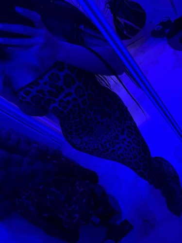 (469)653-0348 is otherand offers nuru massages, asian massage, bodyrubs in Dallas and available for incall on rubrankings Personalized Massage Therapy

Step into a space of quiet comfort, where every session is designed around *your* needs. My private studio offers a sanctuary to unwind, relieve tension, and emerge feeling renewed.

Photos in this ad are authentic—I do not share additional images.
If it’s not me, it’s on me 🤍
** Booking (TEXT ONLY—No Calls/Video Calls)

Your Name
Age
Ethnicity
Preferred Time

 
 Completely private—no outcalls
$200** session 